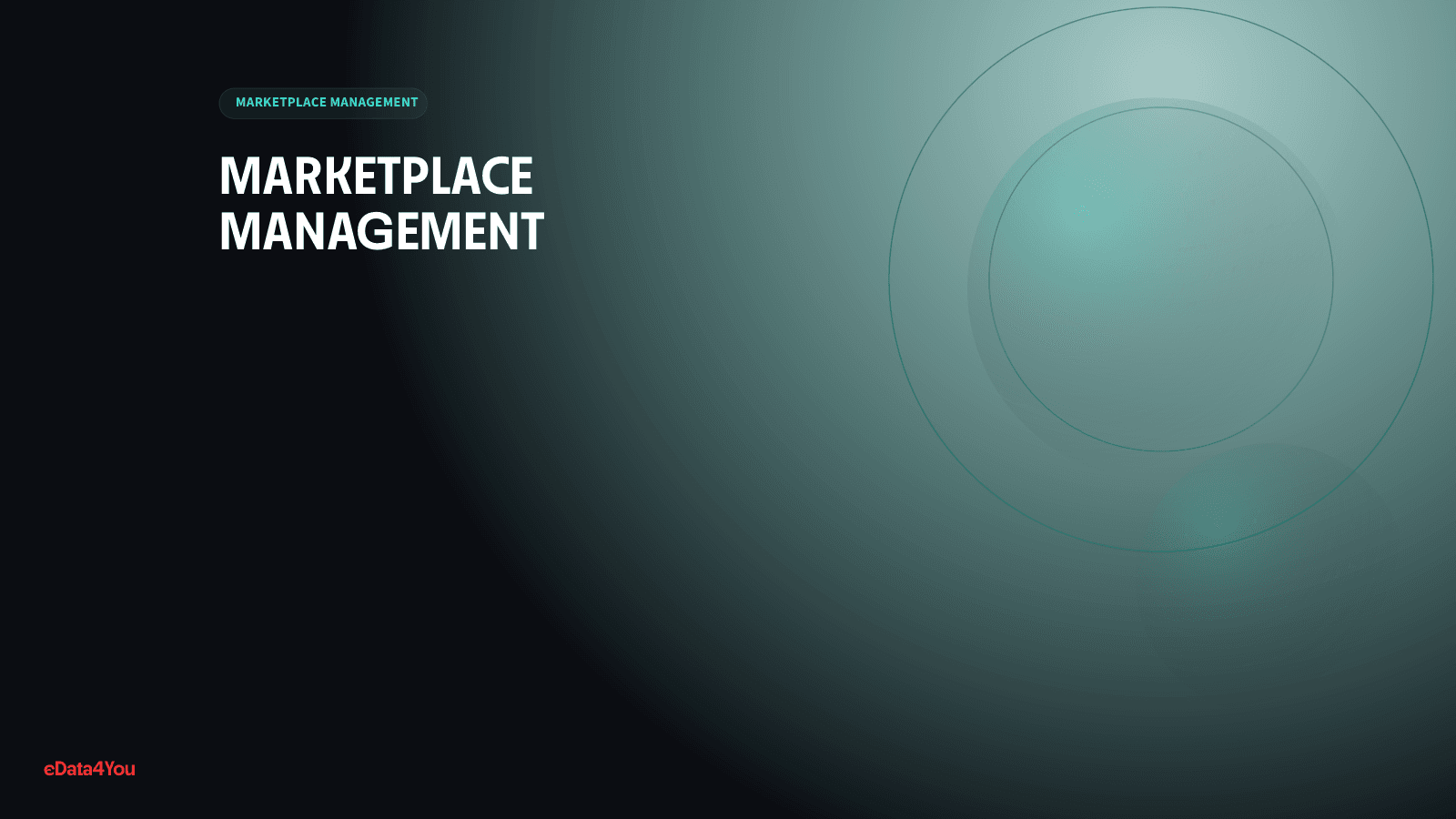 Etsy Marketplace Management Guide for Handmade, Creative, and Niche Brands