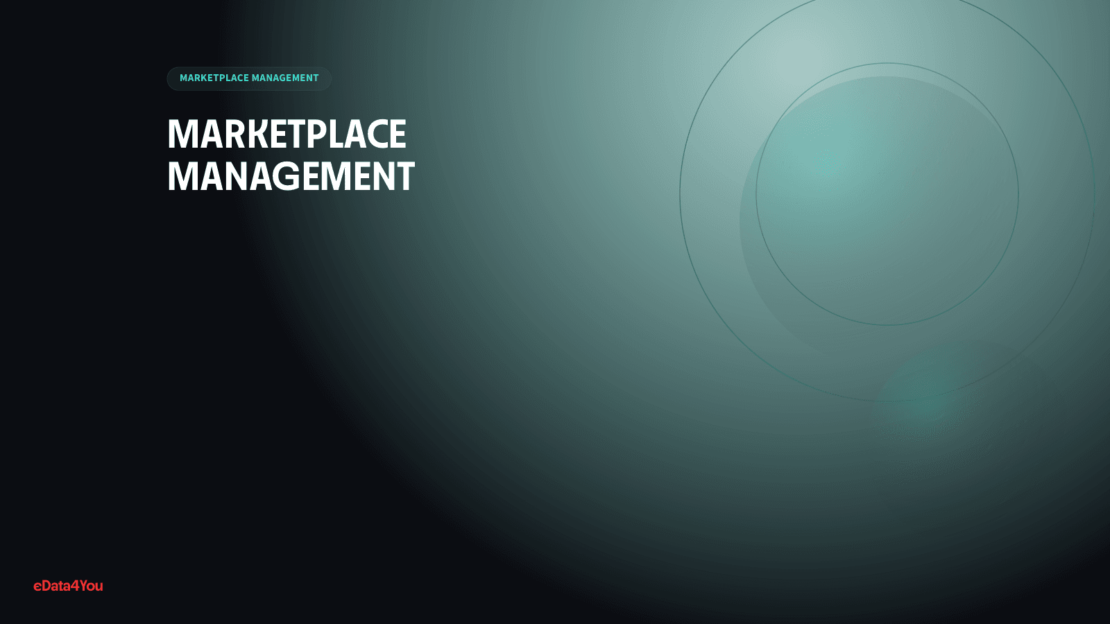 Marketplace SEO Guide: How to Optimize Listings Across Major Platforms