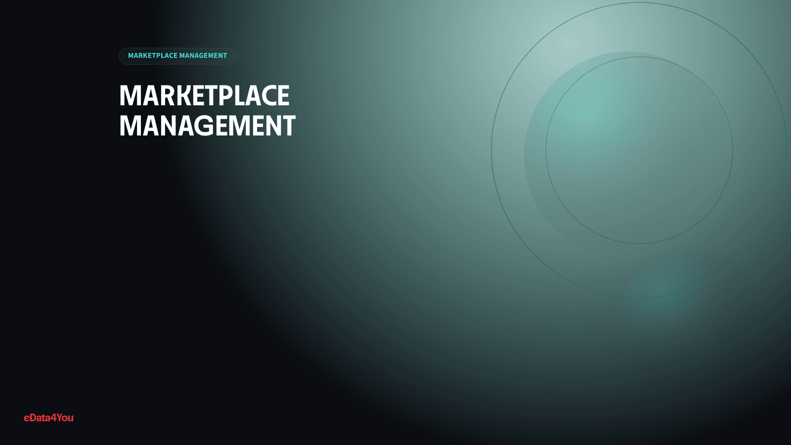 Target Plus Marketplace Management Guide: How to Prepare and Manage Seller Operations