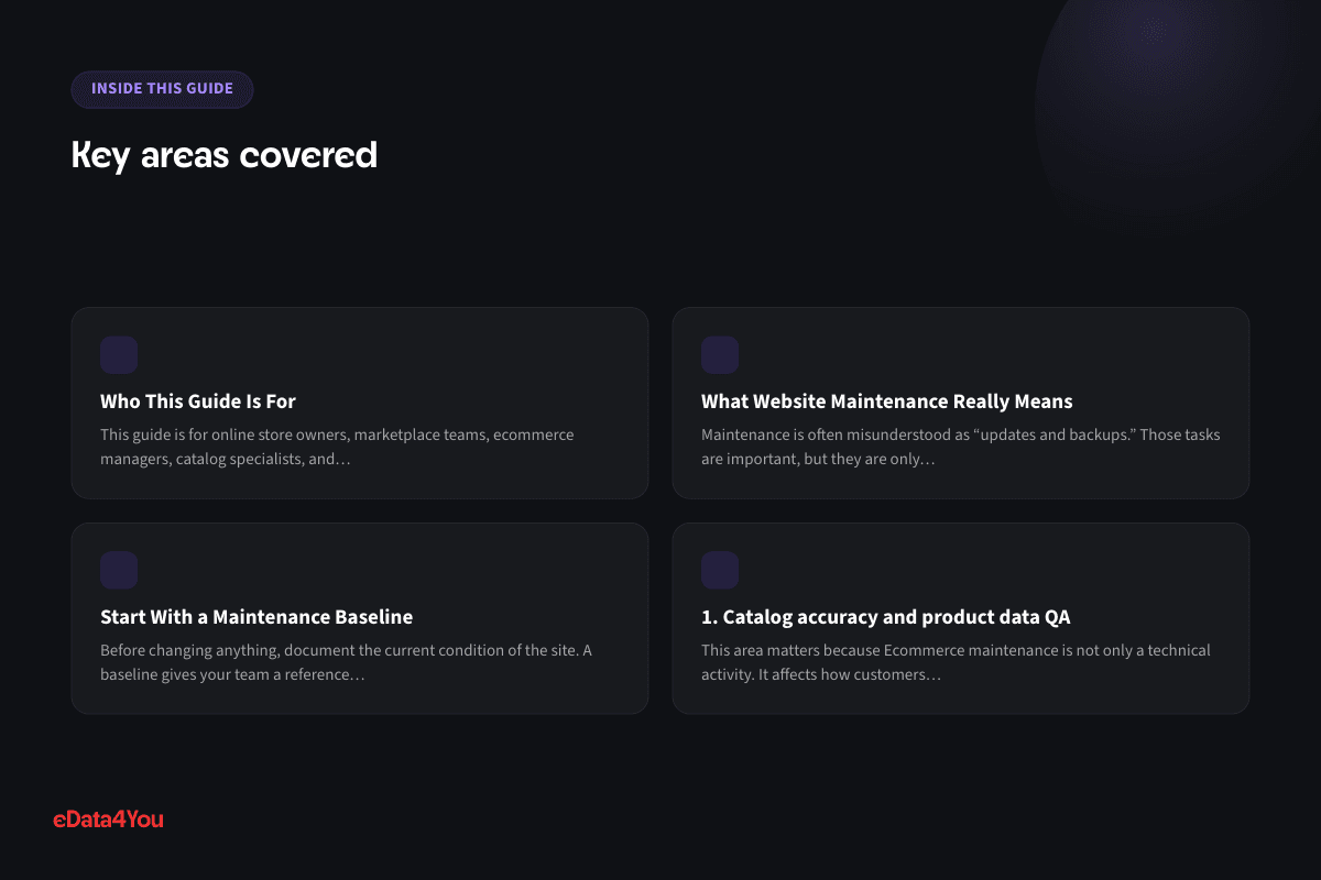 Key areas covered: Who This Guide Is For, What Website Maintenance Really Means, Start With a Maintenance Baseline, 1. Catalog accuracy and product data QA