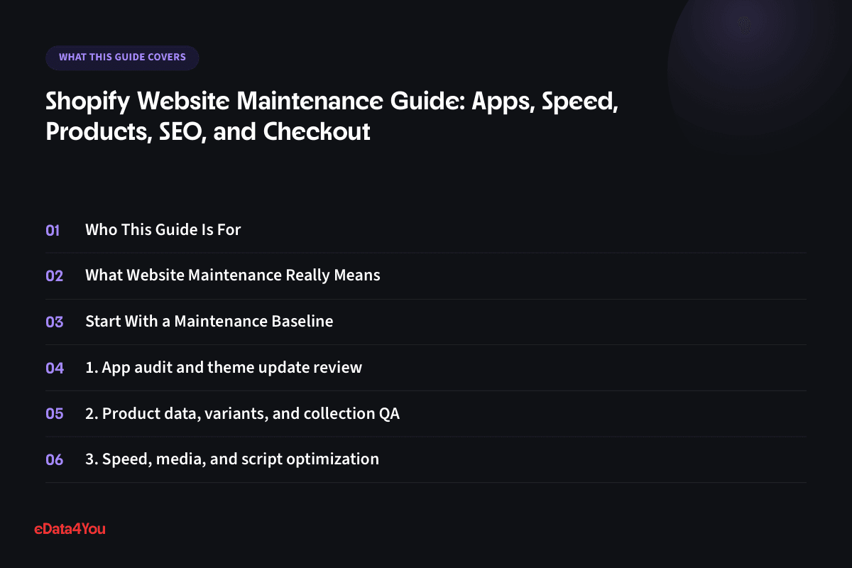What this guide covers: Who This Guide Is For, What Website Maintenance Really Means, Start With a Maintenance Baseline, 1. App audit and theme update review