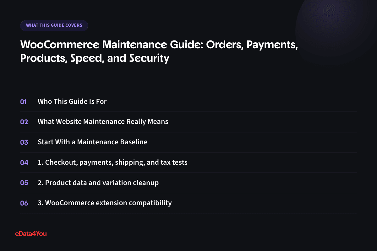 What this guide covers: Who This Guide Is For, What Website Maintenance Really Means, Start With a Maintenance Baseline, 1. Checkout, payments, shipping, and tax tests
