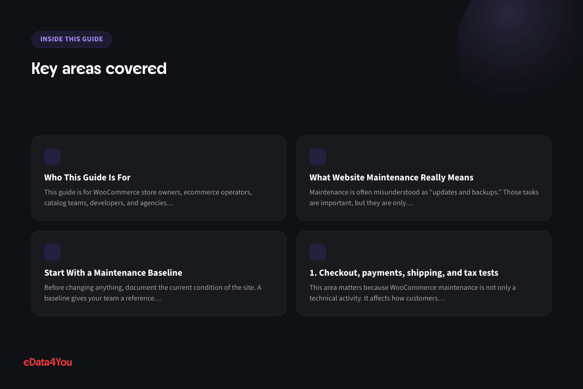 Key areas covered: Who This Guide Is For, What Website Maintenance Really Means, Start With a Maintenance Baseline, 1. Checkout, payments, shipping, and tax tests
