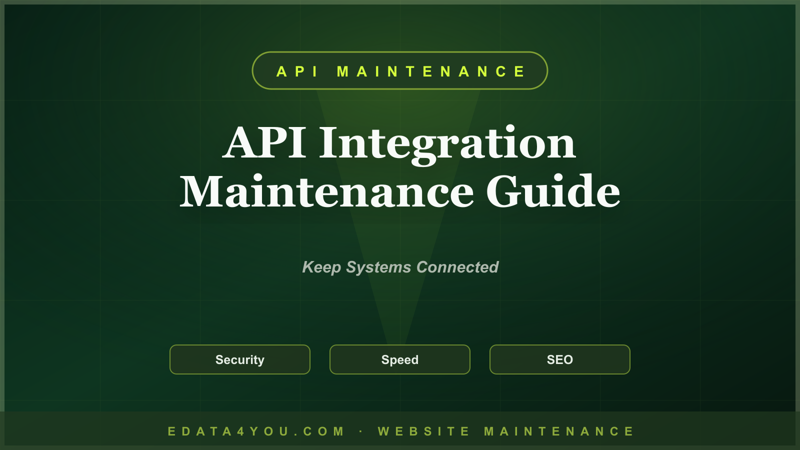 API Integration Maintenance Guide: Keep Website Workflows Connected