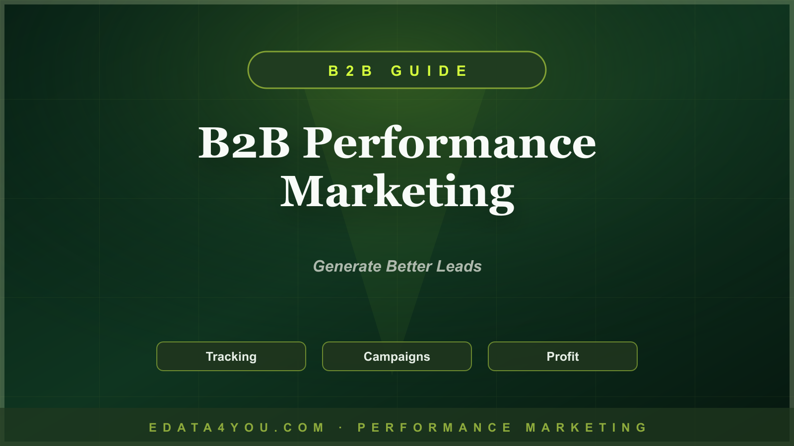 B2B Performance Marketing Guide: Lead Generation, Paid Search, LinkedIn Ads, and Nurturing