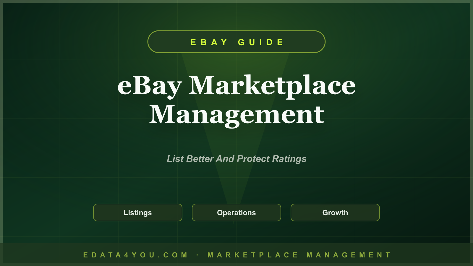eBay Marketplace Management Guide: Listings, Pricing, Seller Ratings, and Growth