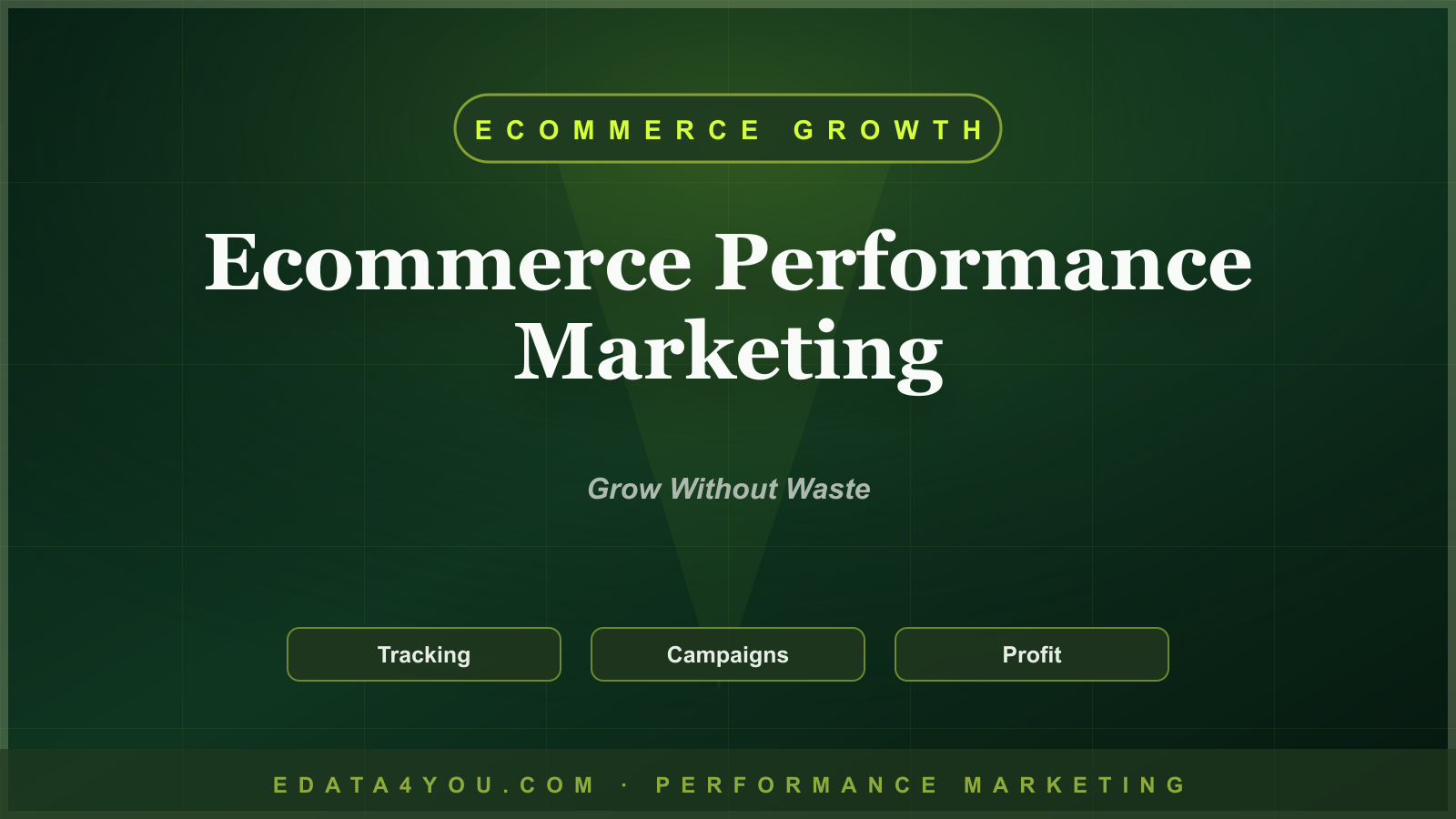Ecommerce Performance Marketing Guide: Paid Growth Without Wasting Budget