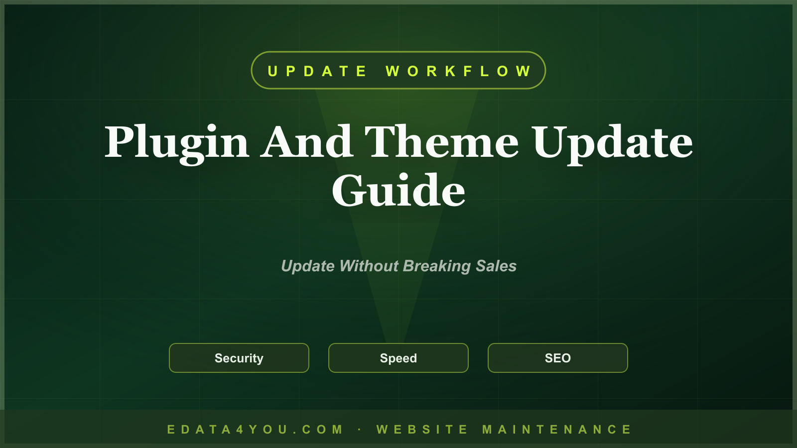 Plugin and Theme Update Maintenance Guide for WordPress and WooCommerce