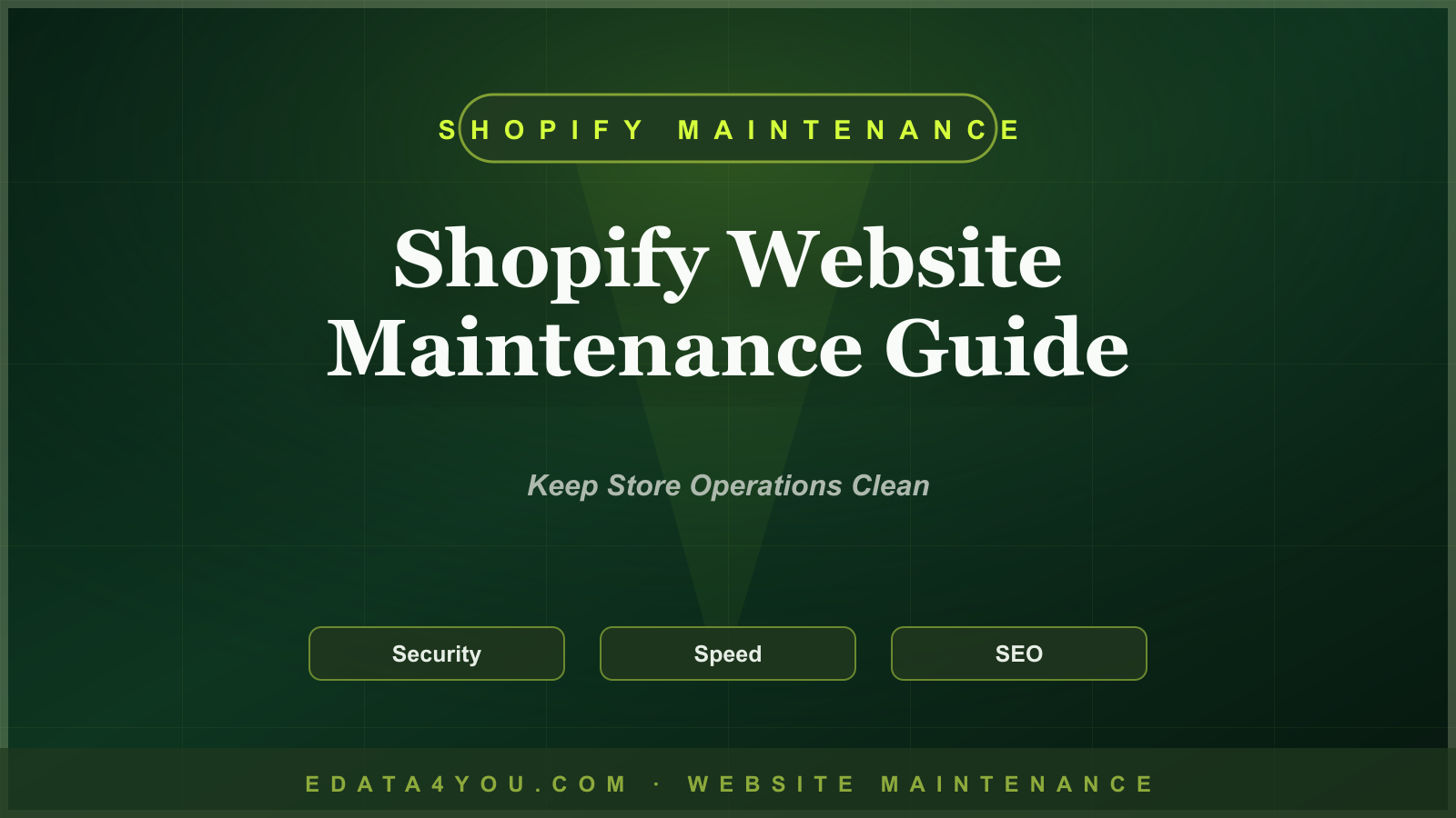 Shopify Website Maintenance Guide: Apps, Speed, Products, SEO, and Checkout