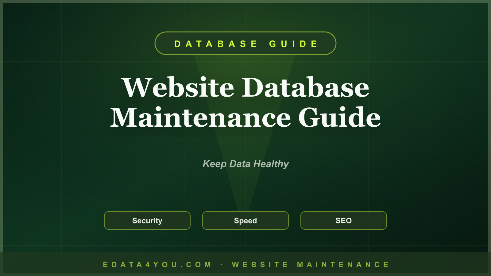 Website Database Maintenance Guide: Keep Data Clean, Fast, and Reliable