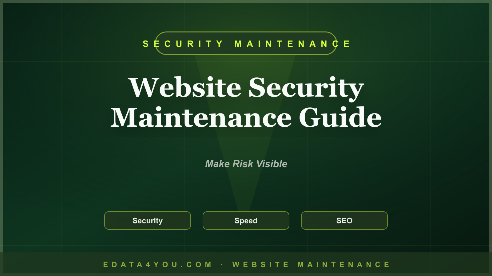 Website Security Maintenance Guide: Protect Your Site From Avoidable Risk