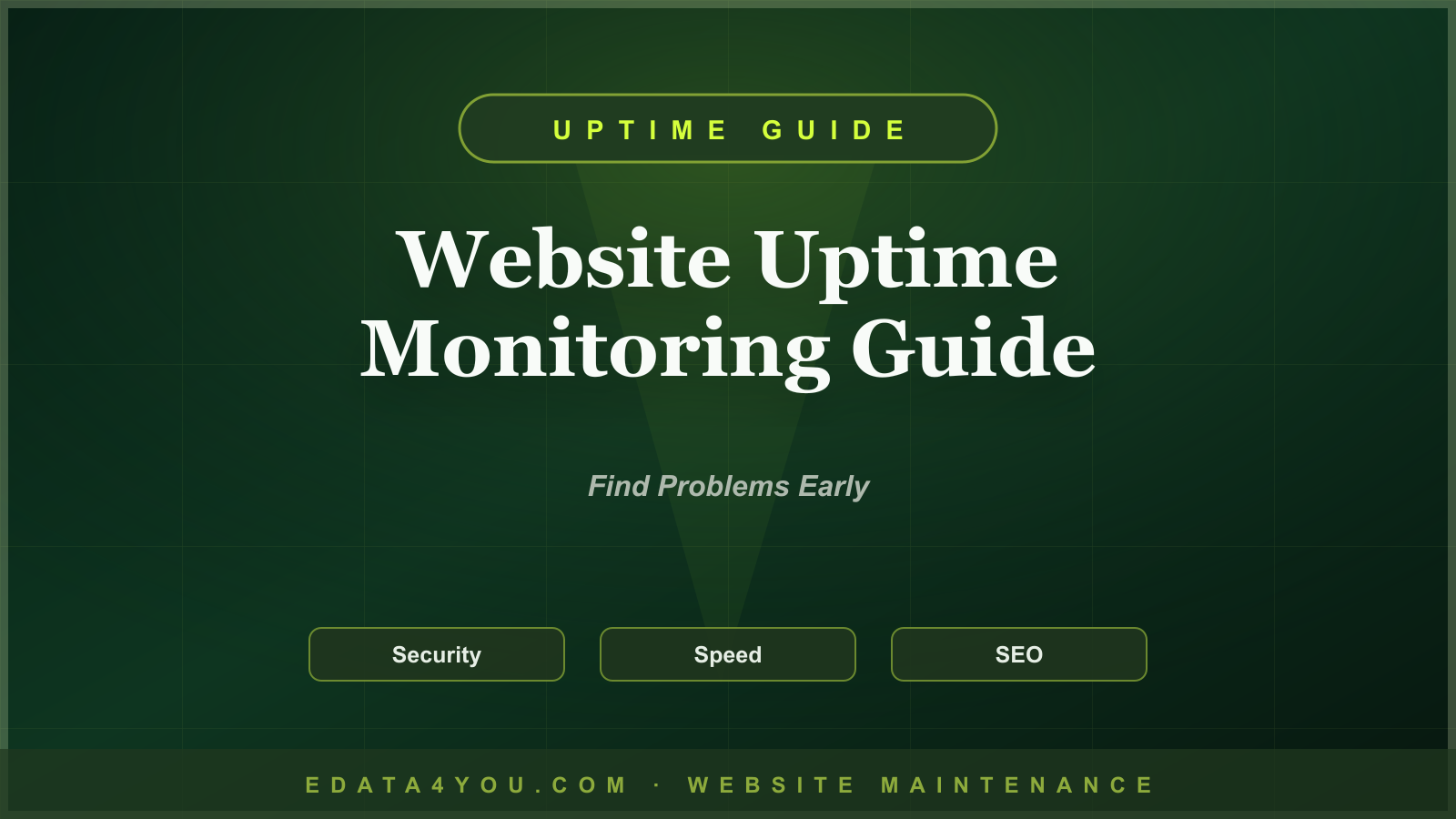 Website Uptime Monitoring Guide: Detect Downtime Before Customers Do