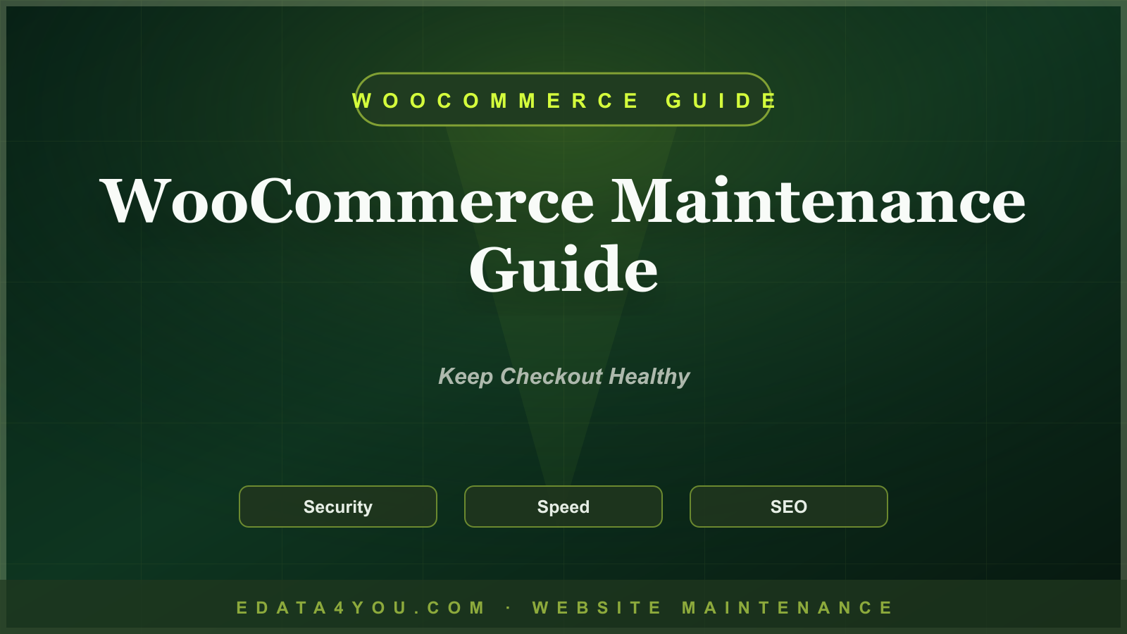 WooCommerce Maintenance Guide: Orders, Payments, Products, Speed, and Security